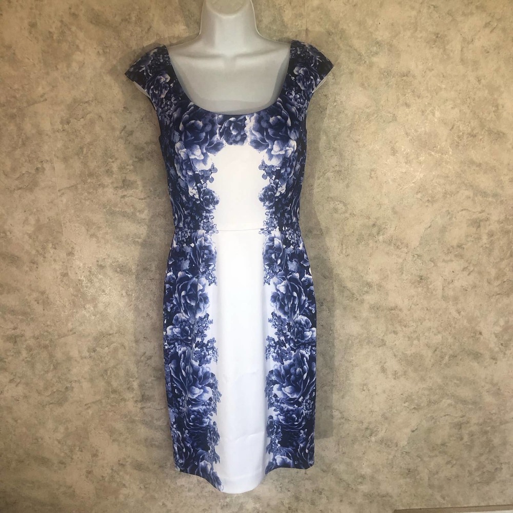 White House/Black Market Sleeveless Tapered Dress